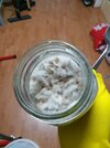 20210514_224652.jpg