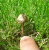 20190601_105748.jpg