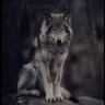 Flappie033