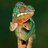 Living_Chameleon