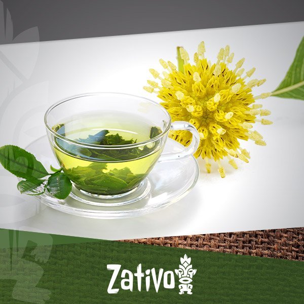 www.zativo.nl