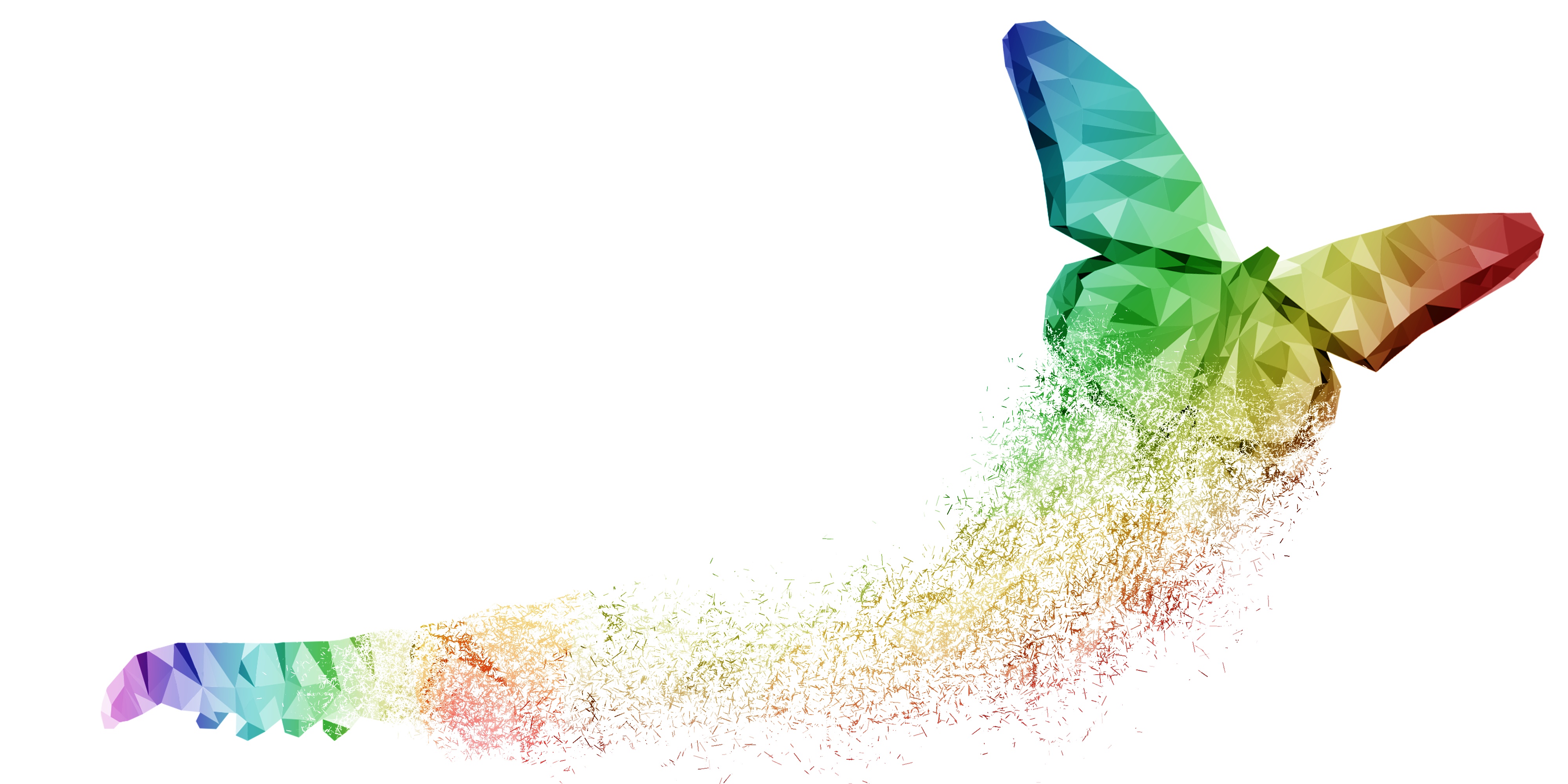 psychedelicreview.com