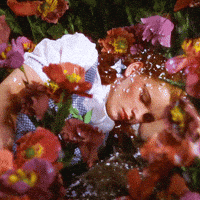 200_d.gif