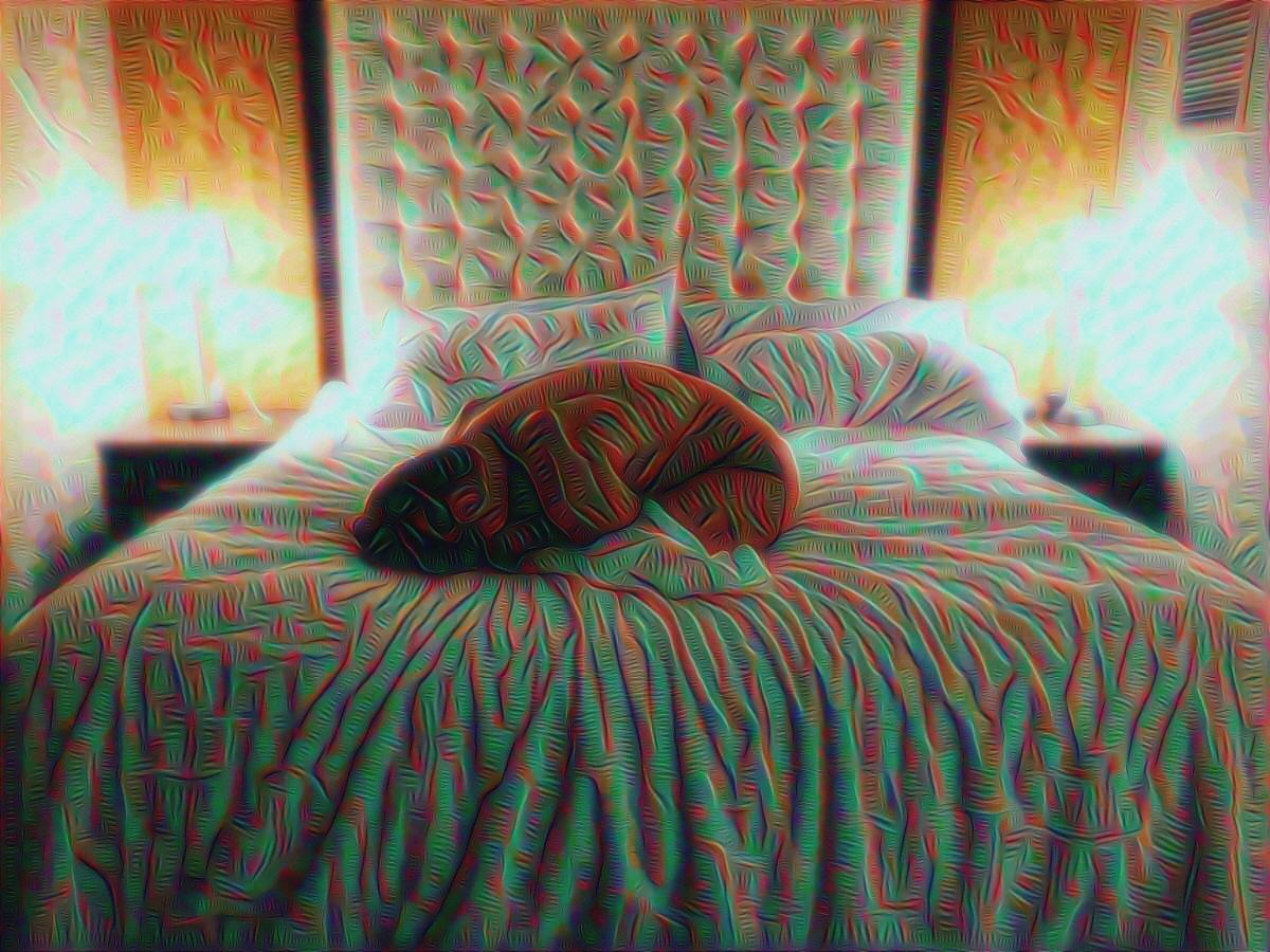 9xls2vcn2t9x.jpg